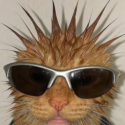 Dan1dapper's profile picture. 5$TAR | Ravens took my joy