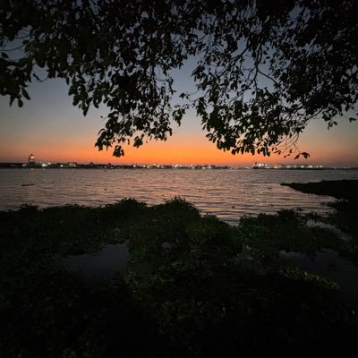 thegreatro2k's profile picture. Ya takht ya tabut