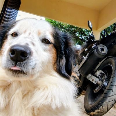 IasmimRdrgs's profile picture. nós avança no sigilo e ataca com paciência 🏹