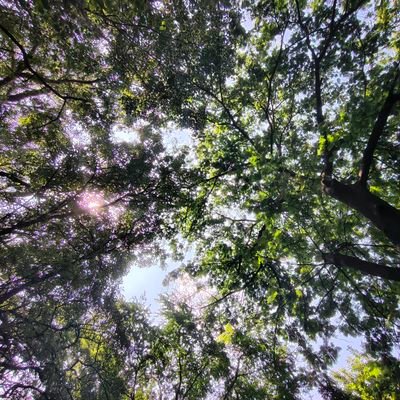 NivedithaA18994's profile picture. 