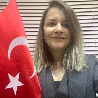 AslanSumyye's profile picture. PhD in Psychology @UniofReading Motivation: Curiosity and İnterest, Educational Psychology, National Education Specialist, MoNE @tcmeb
