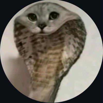 tomasschl's profile picture. just trying out some design engineering stuff