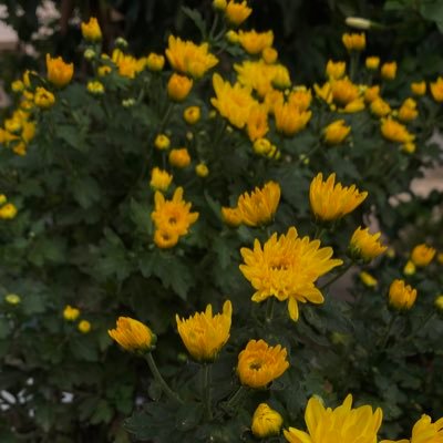 as_59aaa's profile picture. 