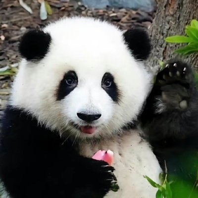 Alex492545's profile picture. CN Sourcing Agent | 您的专业采购代理
Help you find reliable suppliers & control quality in CN
专注: Home Goods, Toys, Stationery,Pet supplies 
Instagram :  a1ex1303