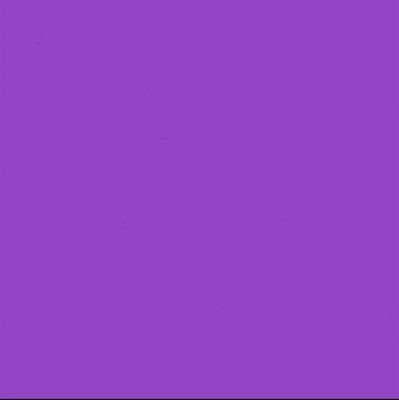 DIPALESA01's profile picture. ANC is killing South Africa