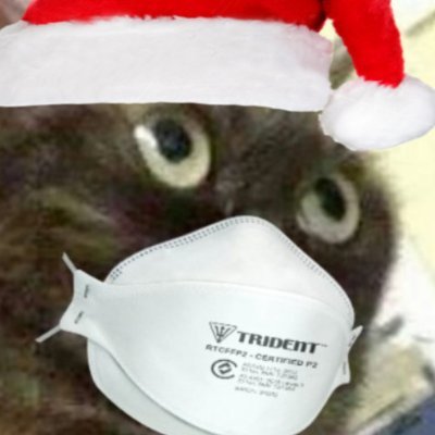 35K1L's profile picture. shitpostende dommedagsprofet

han/dei