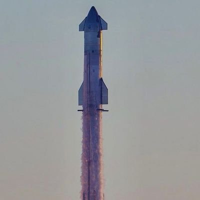 Rosalucirh's profile picture. CEO, and Chief Designer of SpaceX🚀