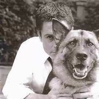 Kazuhiko ambe (@japanatriots) 's Twitter Profile Photo