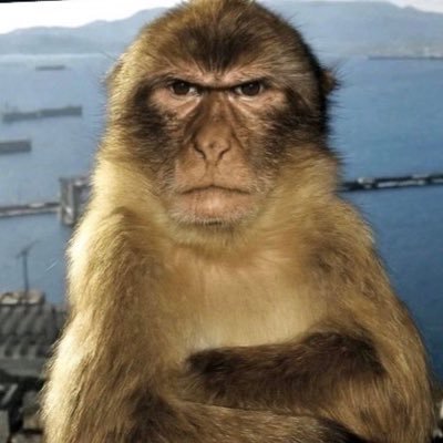 semiramiste's profile picture. 