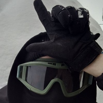 FoxrayLPB's profile picture. 