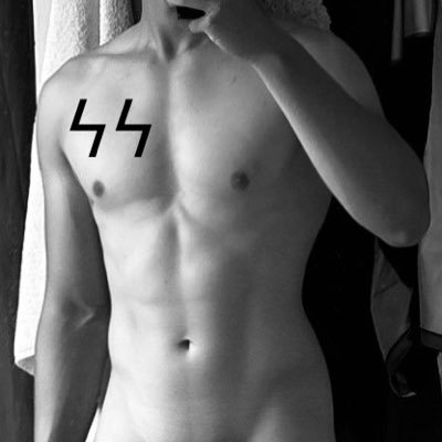 TrueAryanPill's profile picture. It feels good to be white | Spreading a movement | Ideological author ⚡️⚡️ #ILBAB | DMs are open