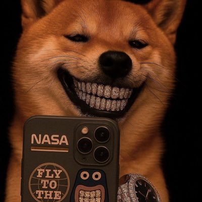 fullportselfie's profile picture. 