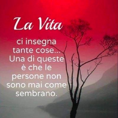 anythinggrows1's profile picture. According to police and MSM by their definition I'M FAR RIGHT apparently 🇬🇧