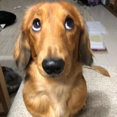 epcs_pv's profile picture. 