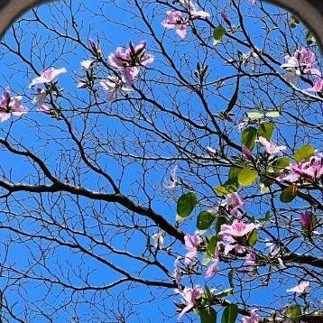 aprivatepirate's profile picture. Beyhude geçen yıllarıma tanıklık etmek isteyen?