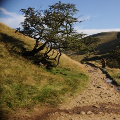 notlipservice's profile picture. Equality & Inclusion - not just the buzzwords and box ticking. Join a union. Unless you're a British Council teacher, in which case you're not allowed.