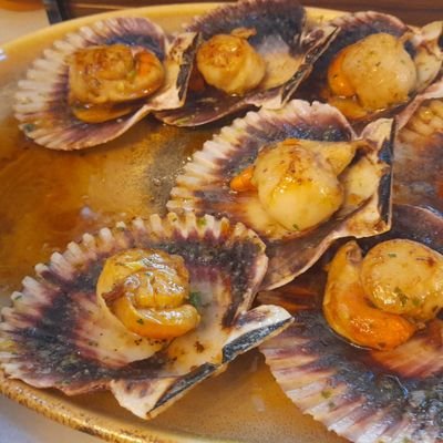 SamuelCaadilla1's profile picture. .