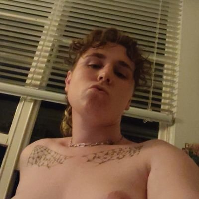 apologetits's profile picture. 