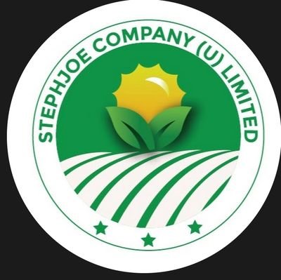 SpotlightInter5's profile picture. 