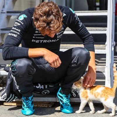 strangrish's profile picture. 