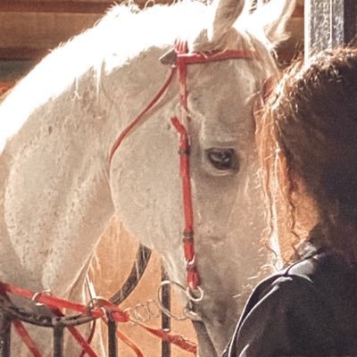 Amirah33_'s profile picture. Life coach  , #Theta healing , #BF access consciousness , astrology 🔮🧘‍♀️ الخاص لحجز الجلسات 📩