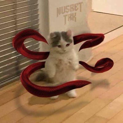 stoneywh's profile picture. 22                                                                                                      vct enjoyer