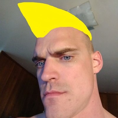 SaneLocal's profile picture. 