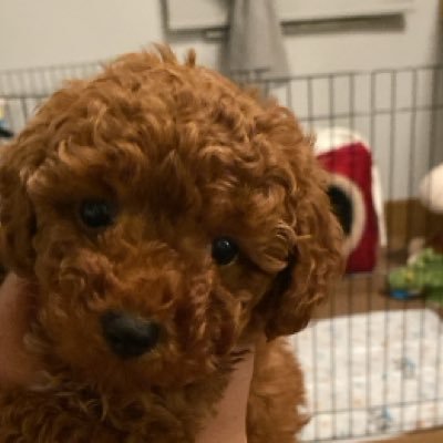 cubeb0's profile picture. Ekonomist, Girişimci, Kaldırım Ustası, Yönetmen, Finansör, Filozof, Tarihçi, Nümismat, Antropolog