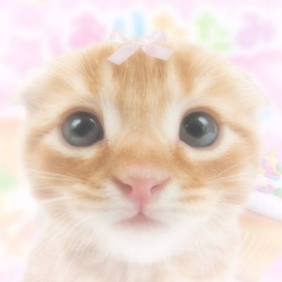 littlestmochi's profile picture. im autistic and i like moobs. deal with it.