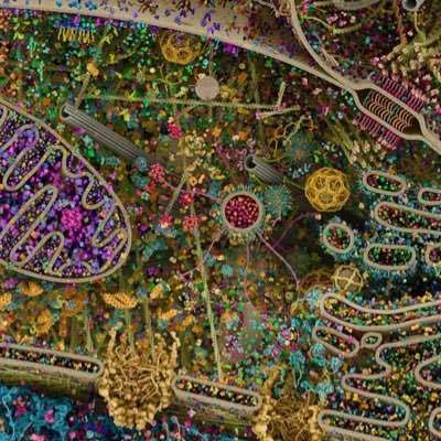 BeingReactive's profile picture. #freetwitter. protesting suspension of Ekrem Imamoglu account. NatureFreak, Sound labour, Freebased human