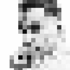 S2N0E4V7Q's profile picture. ₿
        2.1e+15