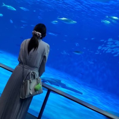 uz_ow6's profile picture. 社会人 ￤読書垢￤読書記録📕￤動物・恐竜垢▶︎@pf2ip ￤勉強垢▶︎@study_0305￤片思い2日間