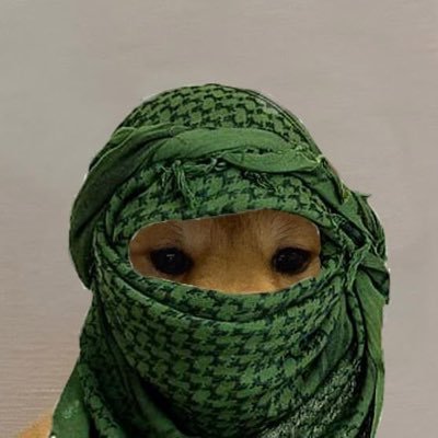 KryptoKitt's profile picture. Alpha addict | Trend chaser | Bag holder 💎