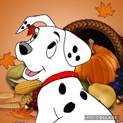 PudgyRolly's profile picture. "I'm hungry, mother. I'm hungry."Bro @DalmatianLucky Dalmatian mommy @SweetPredita best fire bro @MarshallRP3 adorable mate @ best bro @chrisno51