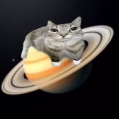 la_fougu3re_4's profile picture. j'regarde des animés et joue à Elden ring/apex

adore les chats 😻