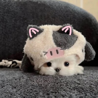 Walsa155063's profile picture. 旅行は世界への好奇心、生活への愛情、そして自分自身への深い探求です