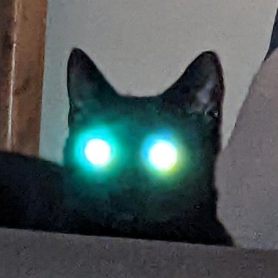 DodeDahroug's profile picture. Former military helicopter pilot.

Palm glued to face since 2016.

Edit Jul24: glue appears to be weakening - we'll see...

Edit Nov24: fuck.