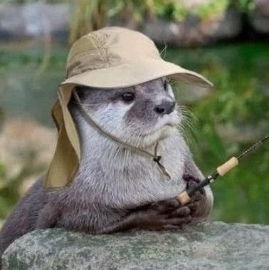 dialcollector's profile picture. Watch collector • Digital thinker • Tech, time & precision.