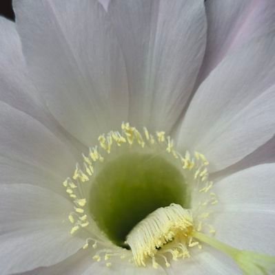 kaptan_1616's profile picture. Sana dokunmak, lav gibi akmak istiyorum damarlarında;