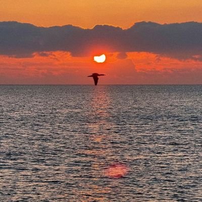 dienonimus's profile picture. Nunca seas soberbio con los humildes, ni humilde con los soberbios 🙉🙊🙈