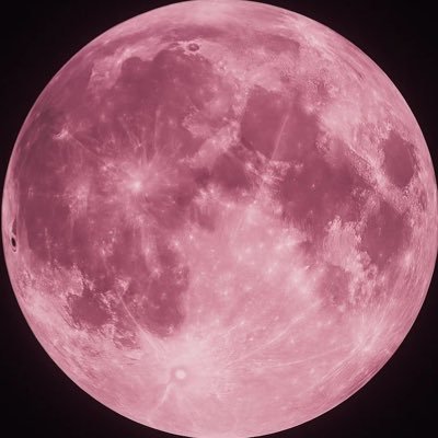 heeheeseung__'s profile picture. voting purposes,, all for enhypen 🩷