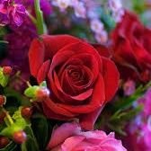 sho90043's profile picture. 