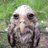 temu_emu_'s profile image