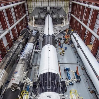 muskX5322's profile picture. Everything about stocks