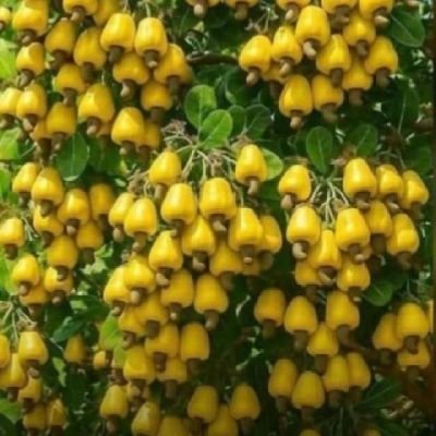 AlexLawren55484's profile picture. God is Good