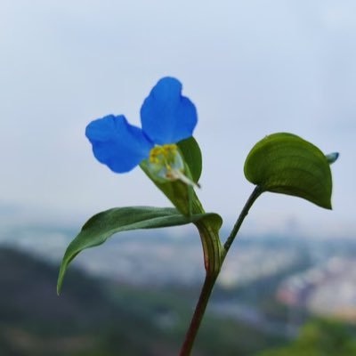 zhang_xiao86876's profile picture. 