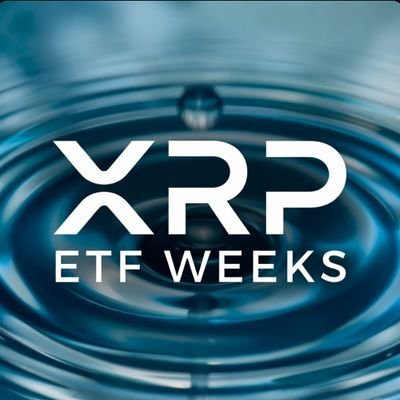 0r306q's profile picture. no DM