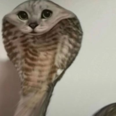 v4mprii's profile picture. ⁴⁴⁴ sapphic witch (19)+