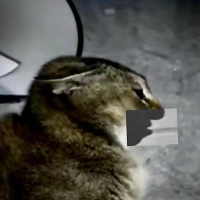 CestLePdg's profile picture. 