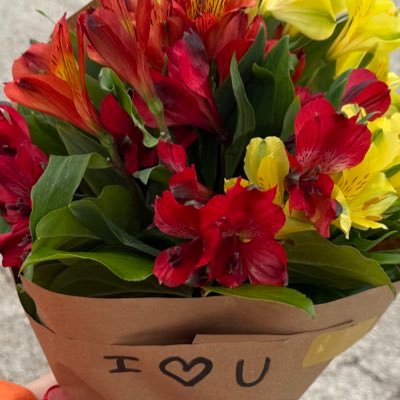 velelimar's profile picture. i like pokémon